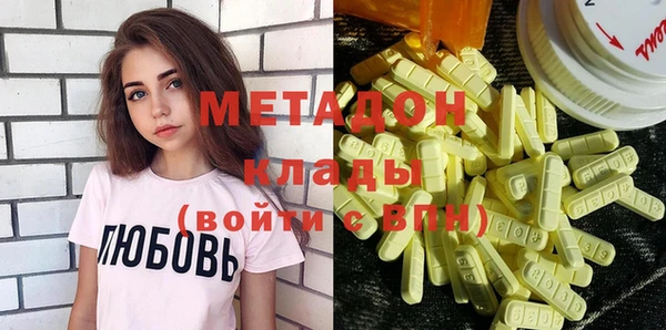 прущие грибы Алзамай