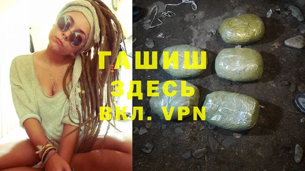 прущие грибы Алзамай