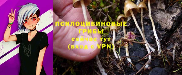 не бодяженный Алексеевка