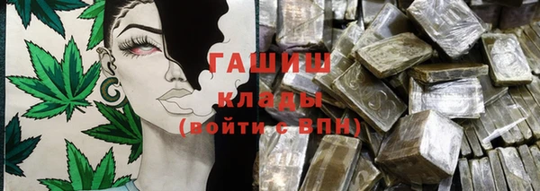 прущие грибы Алзамай