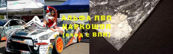 прущие грибы Алзамай