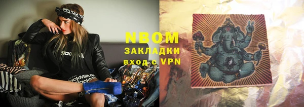 прущие грибы Алзамай