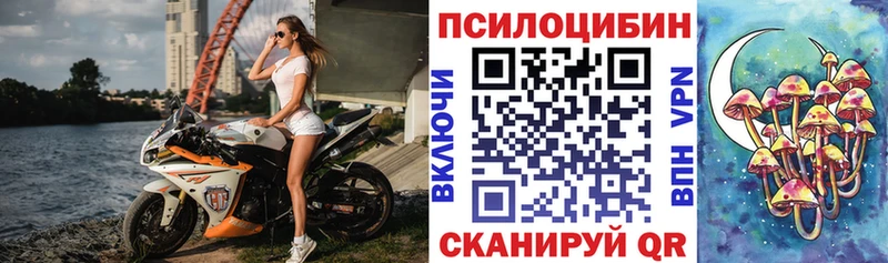 что такое MEGA ссылки Псилоцибиновые грибы мухоморы Волгоград